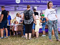 Adoptuj Warszawiaka  Wydarzenie promujące adopcję zwierząt. Organizator: Schronisko dla Bezdomnych Zwierząt "Na Paluchu". 18 sierpnia 2019, Park Raszyński w Raszynie. : park raszyński, adoptuj warszawiaka, na paluchu, schronisko dla zwierząt, centrum warszawy, raszyn